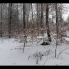20150201_0043